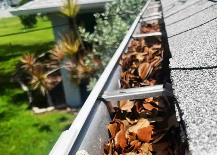 Gutter Cleaning Lanham home page